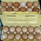 Eggs - pasture raised eggs