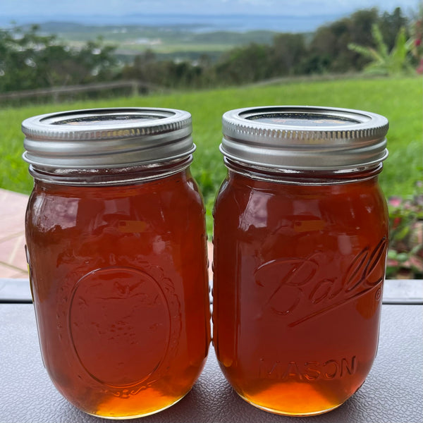 Honey (Miel)