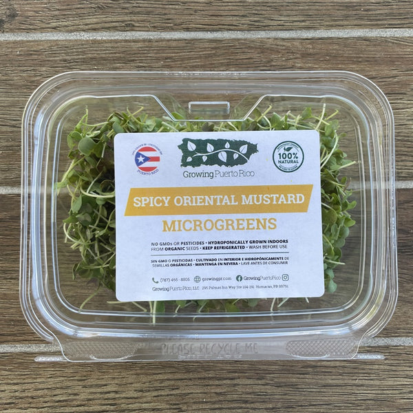 Spicy Mustard Microgreens