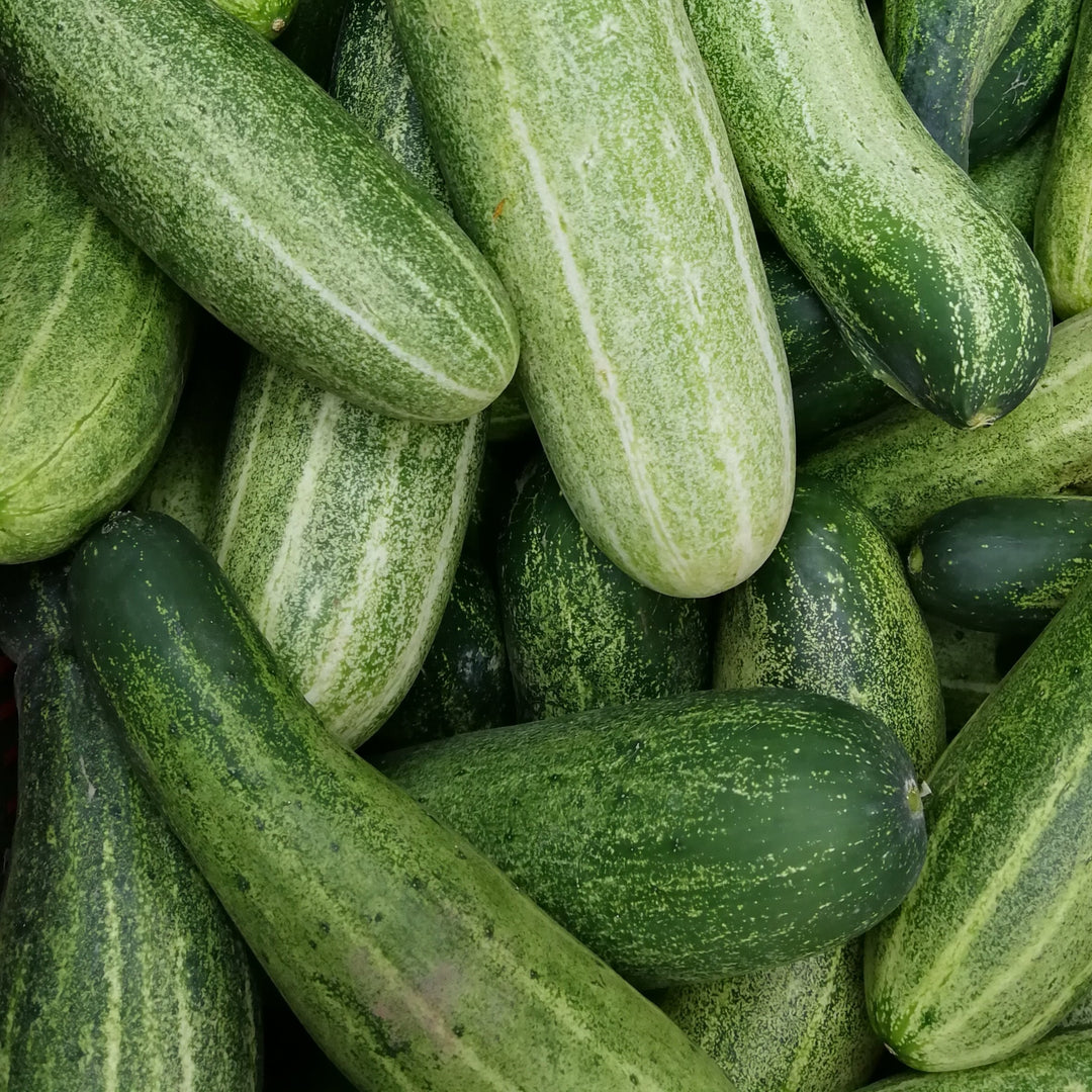 Growing Puerto Rico Shop