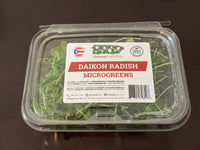 Daikon Radish Microgreens
